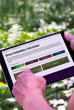 Creating and using a growing schedule