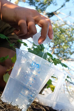 Preparing a nutrient solution for plants