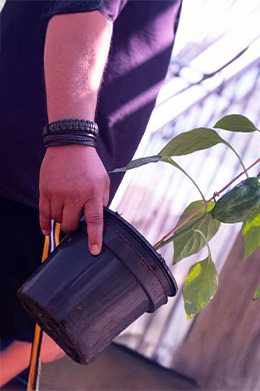 De perfecte pot voor je plant